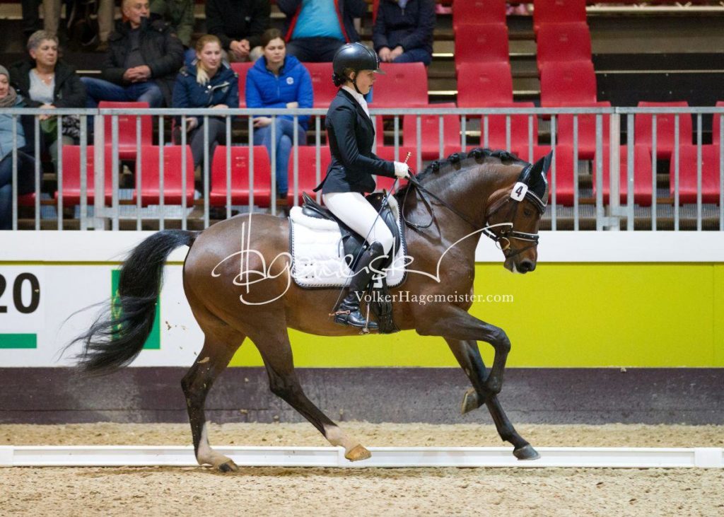Bundeschampionatsqualifikation Heide 26