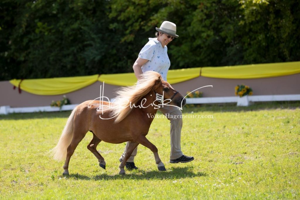 ZfdP Bundesschau Teilnehmer und Impressionen 28