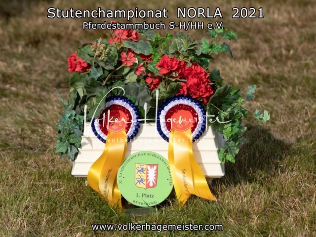 NORLA Sieger 2021 11