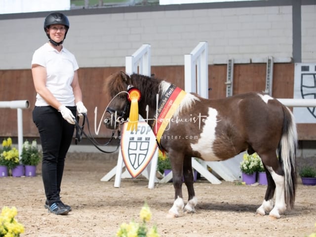 ZfdP Sommerkörung 28