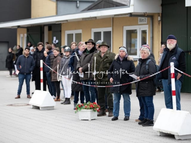 Hengste und Impressionen PSB Körung 6