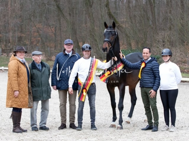 ZfdP Kranichstein Reitpferde 20