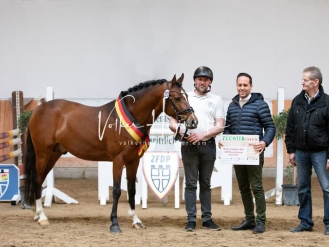 ZfdP Kranichstein Spezialrassen + Reitponys 4