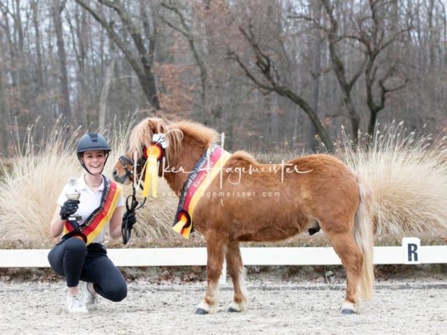 ZfdP Kranichstein Spezialrassen + Reitponys 16