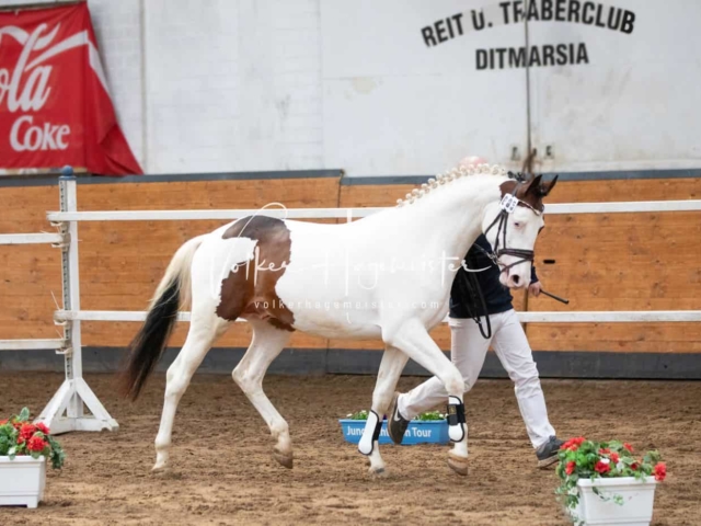 Impressionen PSB Nachkörung 5