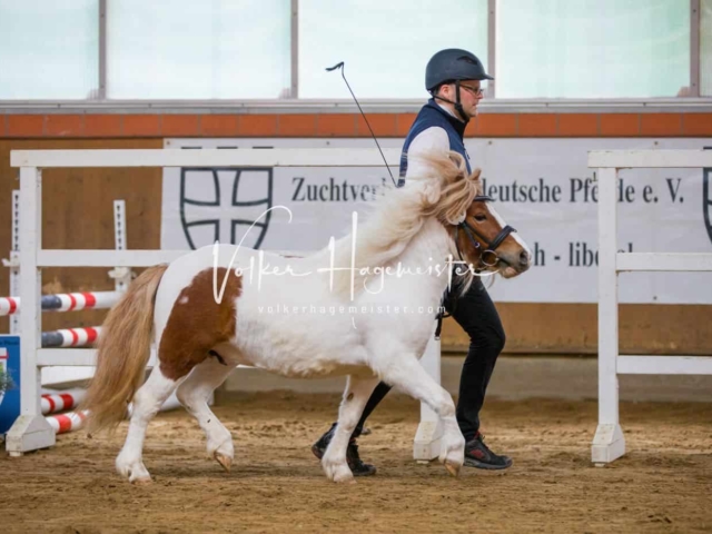 Impressionen ZfdP Frühjahrskörung 24