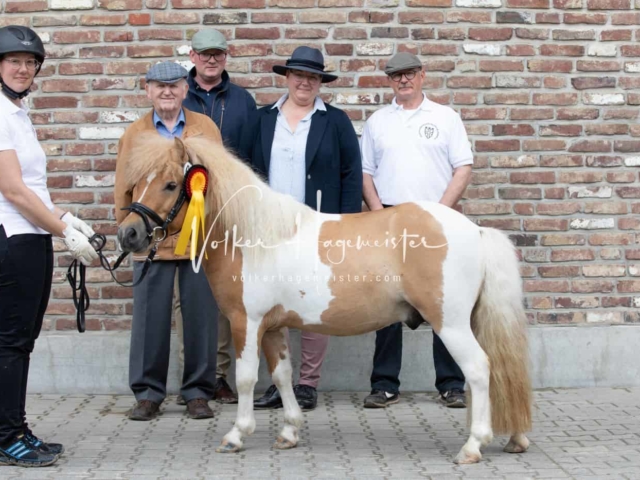 Impressionen ZfdP Sommerkörung 4