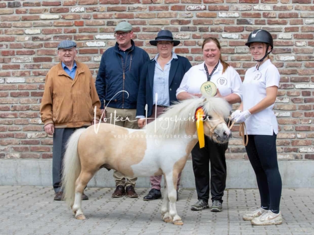 Impressionen ZfdP Sommerkörung 2