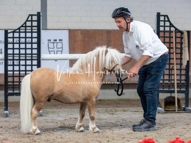 Impressionen ZfdP Sommerkörung 3