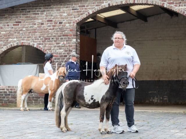 Impressionen ZfdP Sommerkörung 13