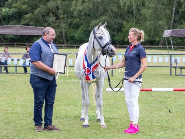 Impressionen PSB Eliteschau nachmittags 19