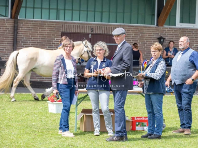 Impressionen PSB Eliteschau vormittags 23