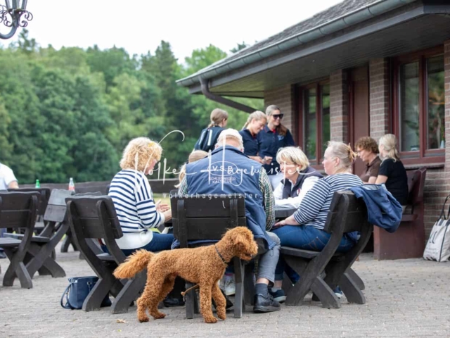 Impressionen PSB Eliteschau nachmittags 13