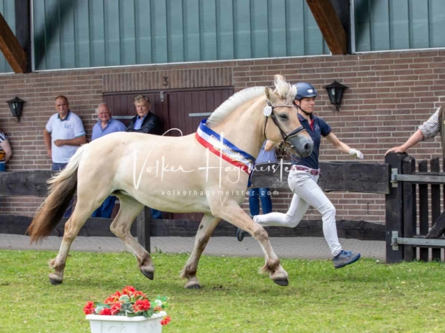 Impressionen PSB Eliteschau vormittags 27