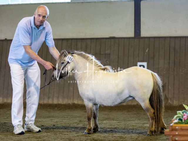 Impressionen PSB Eliteschau vormittags 9