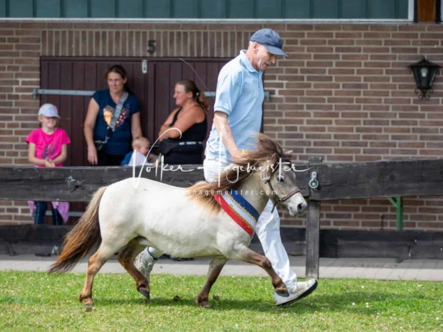 Impressionen PSB Eliteschau vormittags 14