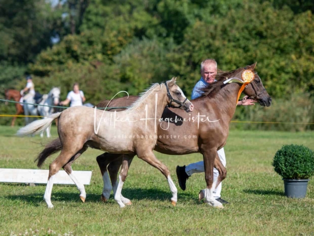 IG Schau vormittags 24