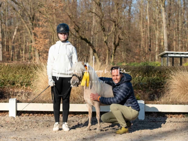 ZfdP Körung Kranichstein Ponys 18