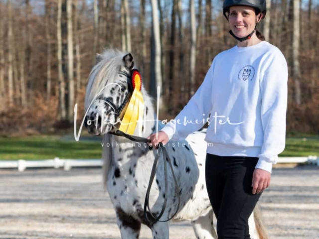 ZfdP Körung Kranichstein Ponys 10