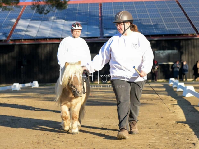 ZfdP Körung Kranichstein Ponys 14