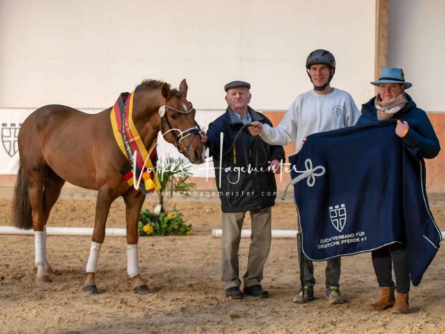 ZfdP Körung Kranichstein Ponys 3