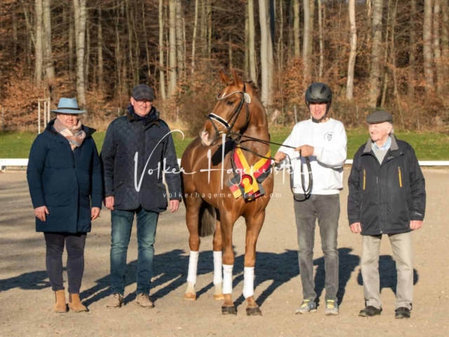 ZfdP Körung Kranichstein Ponys 5