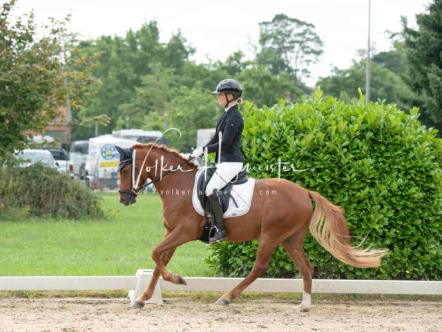 ZfdP Bundesturnier 8