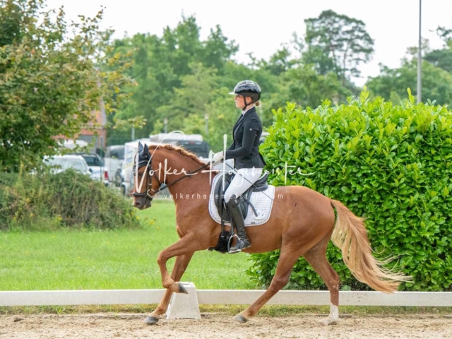 ZfdP Bundesturnier 9