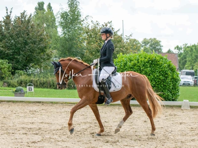 ZfdP Bundesturnier 10