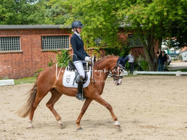 ZfdP Bundesturnier 7