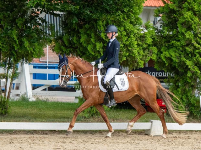 ZfdP Bundesturnier 8
