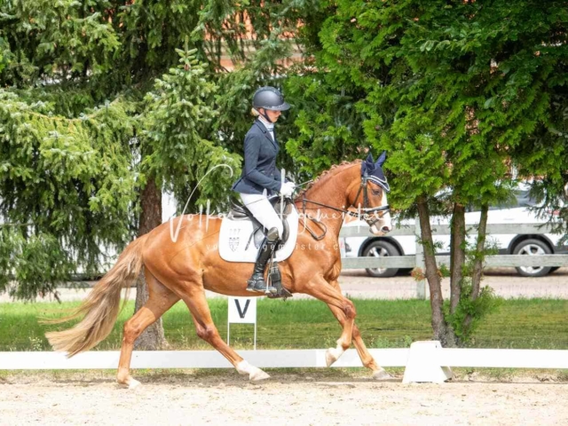 ZfdP Bundesturnier 9
