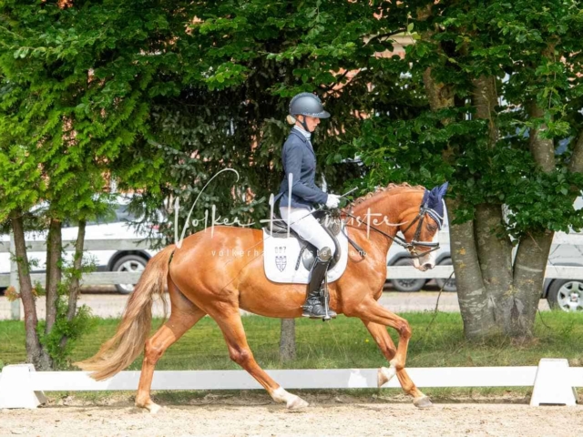 ZfdP Bundesturnier 6