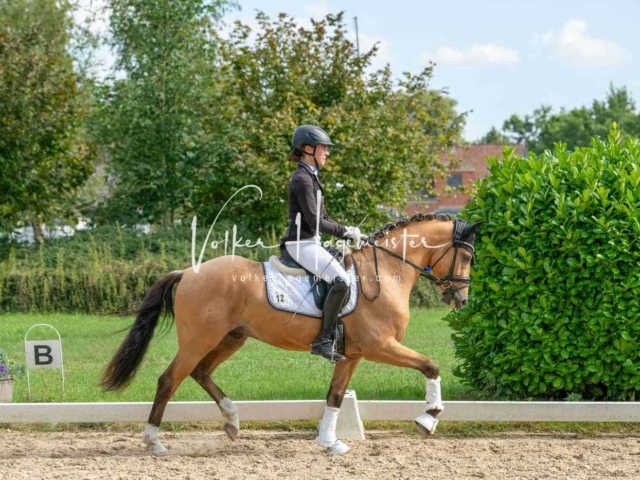 ZfdP Bundesturnier 14