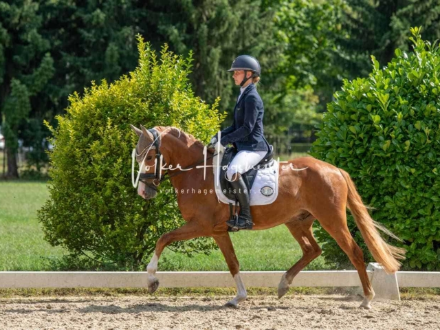 ZfdP Bundesturnier 15