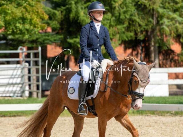 ZfdP Bundesturnier 19