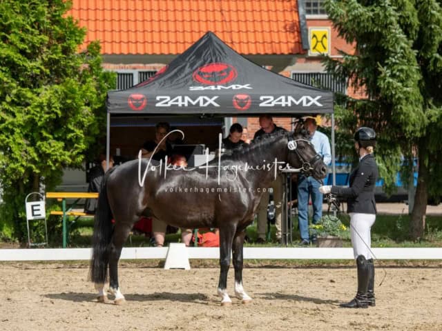 ZfdP Bundesturnier 21