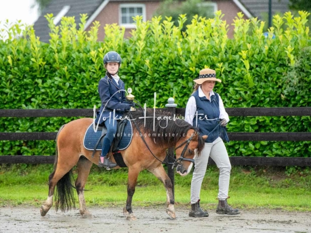 IG Welsh Schau Reitklassen 28