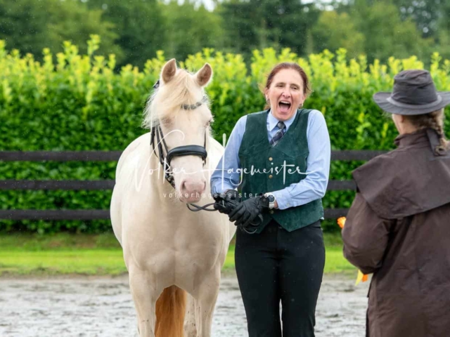IG Welsh Schau Reitklassen 4