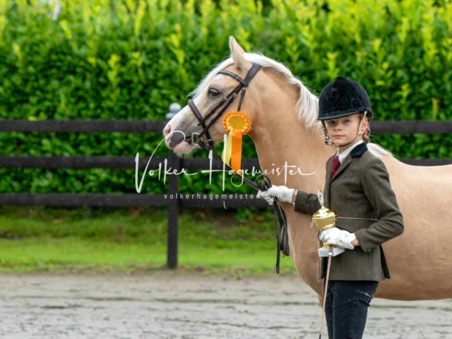 IG Welsh Schau Reitklassen 3