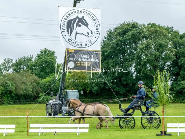 IG Welsh Regionalschau Schaubilder 1