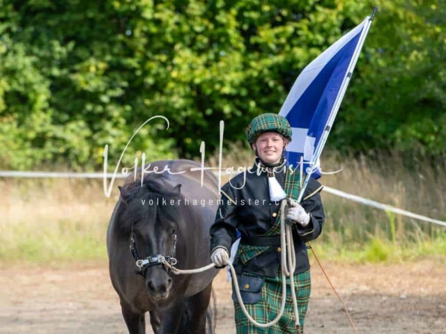 British Flair 14