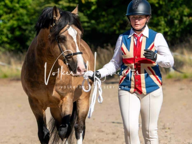 British Flair 18