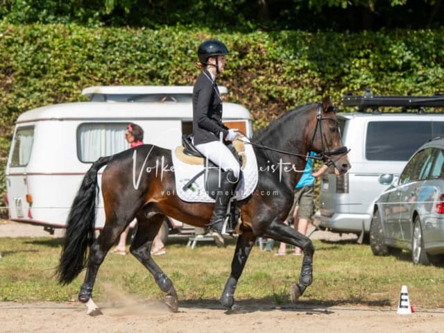 British Flair 14