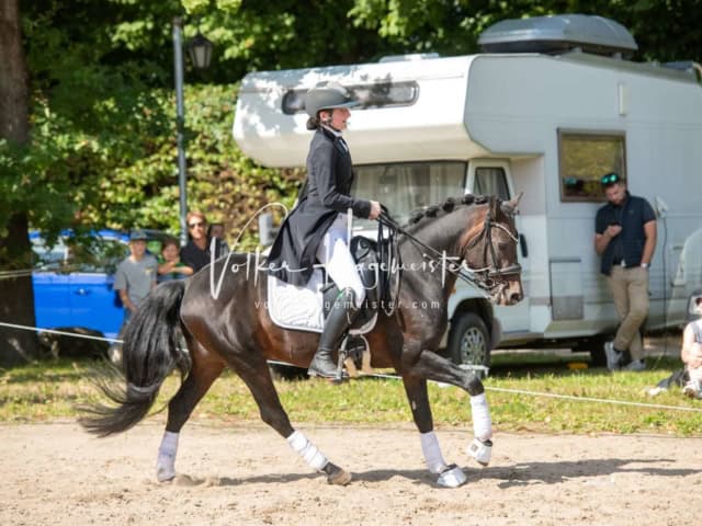 British Flair 21