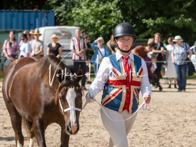 British Flair 3